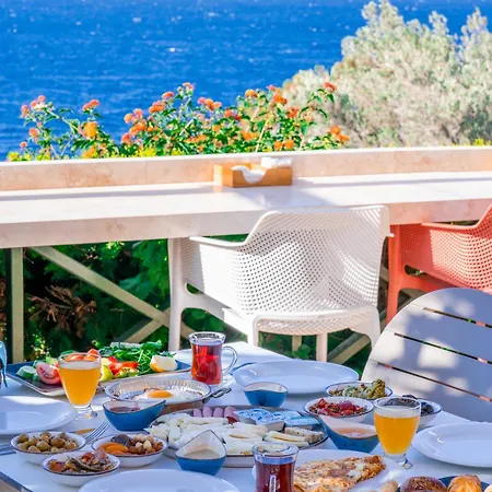 Payam Hotel 4*