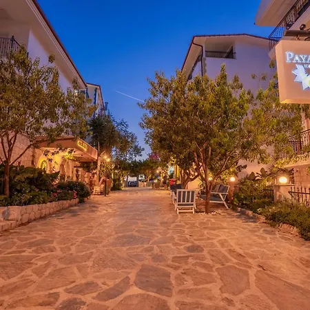 Hotel Payam 4*