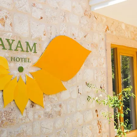 Hotel Payam